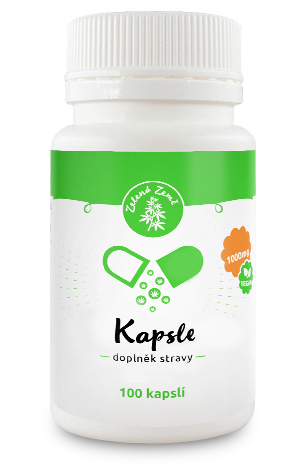 Kapsle